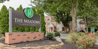 The Meadows Gallery 1