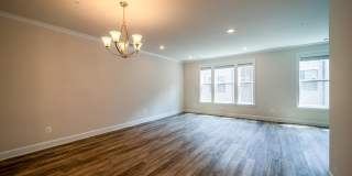20656 RIVER LIFFEY Terrace Gallery 23