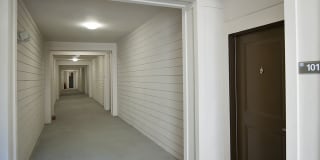 White Palm Gallery 11