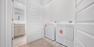 4348 BUTTERSCOTCH Circle Gallery 14