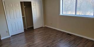 Hollybend Gallery 13