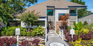 Timbers at Mill Creek Gallery 53
