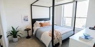 Wren on the Creek Gallery 12