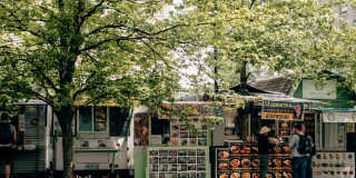 North Hollow Gallery 42