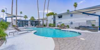 Rise Biltmore Gallery 54