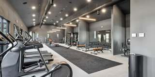 Springside Middletown Gallery 17