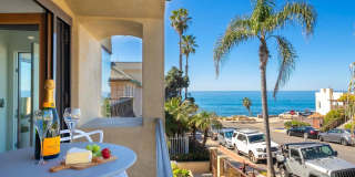 229 Bonair St Gallery 13