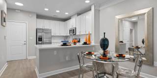 The Regency at Johns Creek Walk Gallery 16