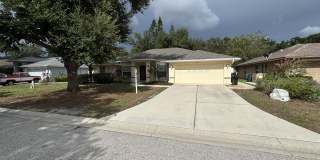 3298 Branch Creek Dr Gallery 1