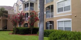 2307 BUTTERFLY PALM WAY Gallery 11