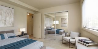 Windsor Forest Windsor Forest Gallery 4