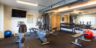 Vista Torre Gallery 8