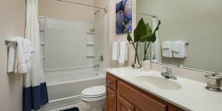 Abberly Pointe Gallery 6