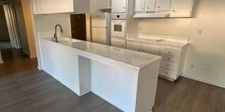 Spacious 2 Bed / 2 Bath with Large Balcony – Pet Friendly! Gallery 10