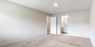 The Dawson Gallery 19