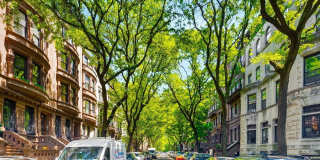 46 W 87TH Street Gallery 10