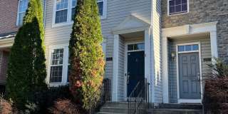 21910-F WEEPING WILLOW Lane Gallery 1