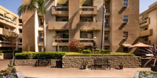 Renaissance Terrace Gallery 24