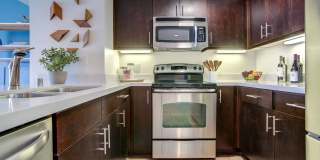 The Towers at Rincon Gallery 21