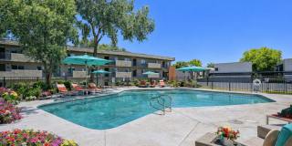 Arcadia 30 Gallery 13