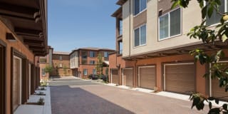 Avalon Vista Gallery 41