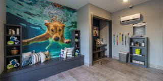 Braxton at Tamarron Gallery 6