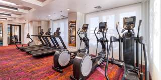 Cortland Biltmore Gallery 18