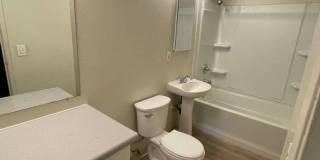 Pinehaven Gallery 7