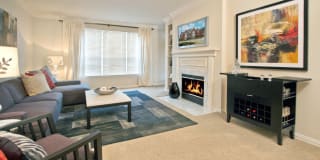 The Biltmore Gallery 22