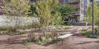 Edgemont at Bethesda Metro Gallery 31