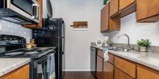 Autumn Wood Gallery 3