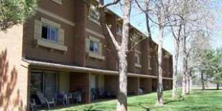 1 Bedroom with Study in Wimbledon! Gallery 1