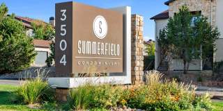 Summerfield Gallery 18