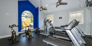 The Palmer The Palmer Gallery 21