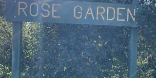 House for Rent in Piedmont Gallery 21