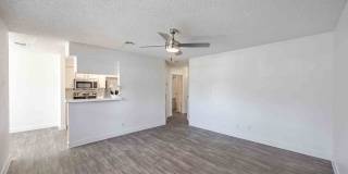 Arabella Gallery 19