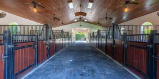 2583 Appaloosa Trail Gallery 2