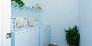 Diamond Vista Gallery 27