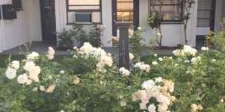 Griffith Park Gallery 12