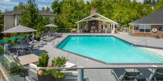 Arbor Heights Gallery 17