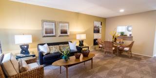 Pines of Woodforest Gallery 7