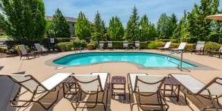 Palermo at Lakeland Gallery 6