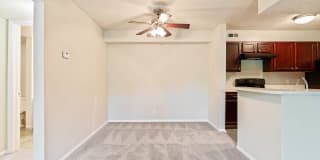 Chimney Top Apartments Gallery 21