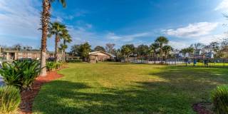 Sea Oats Sea Oats Gallery 29