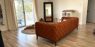 2271 STONE CROSS CIRCLE Gallery 30