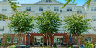 The Marque Gallery 33