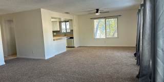 Spacious 4-Bedroom Home with Finished Basement & Large Backyard! Gallery 5