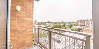 The Veridian Gallery 10