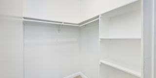 THE MODERN CACTUS Gallery 38