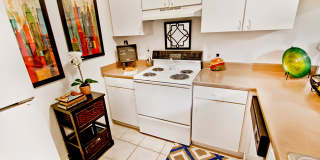 Clearwater Creek Gallery 4